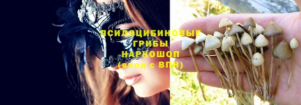 ешки Елизово