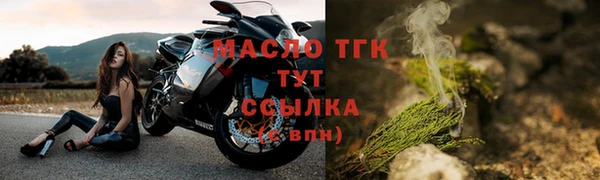 PSILOCYBIN Ельня