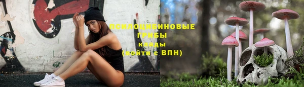 ешки Елизово
