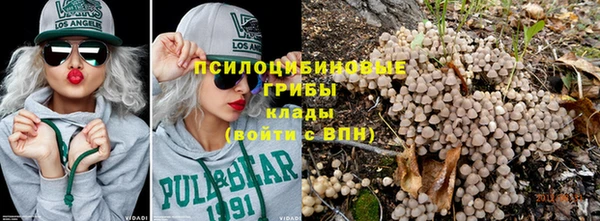 шишки Елабуга