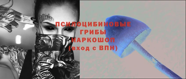 ешки Елизово