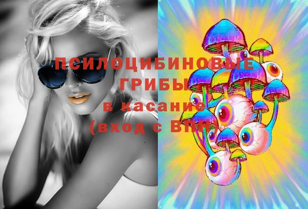 шишки Елабуга
