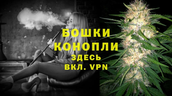 шишки Елабуга