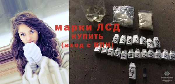 PSILOCYBIN Ельня