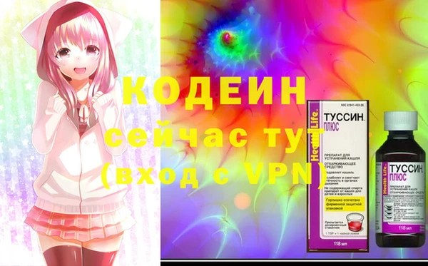 PSILOCYBIN Ельня
